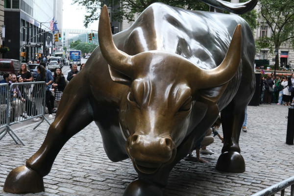 Wall street bull